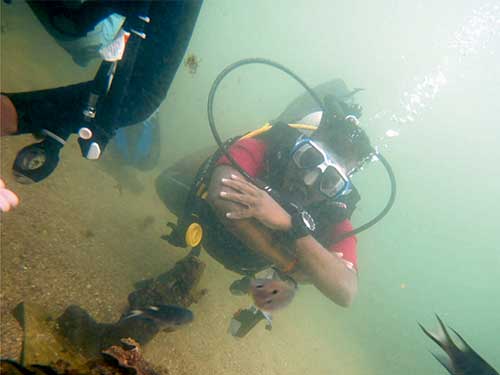 Scuba Divers and Snorkelers